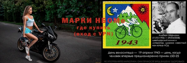 ECSTASY Алзамай